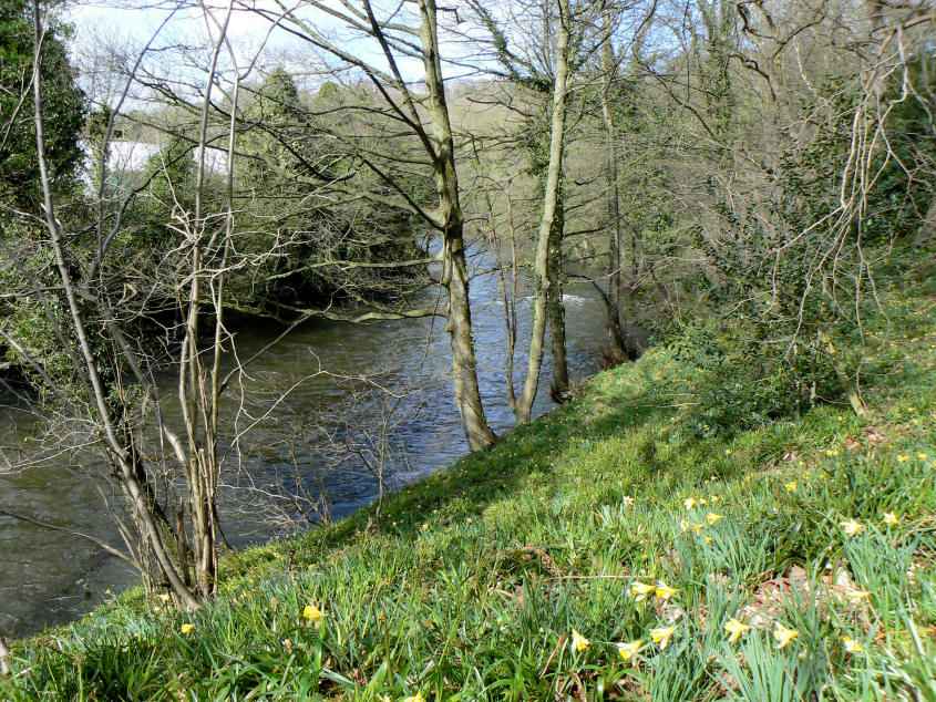 River Derwent River Derwent